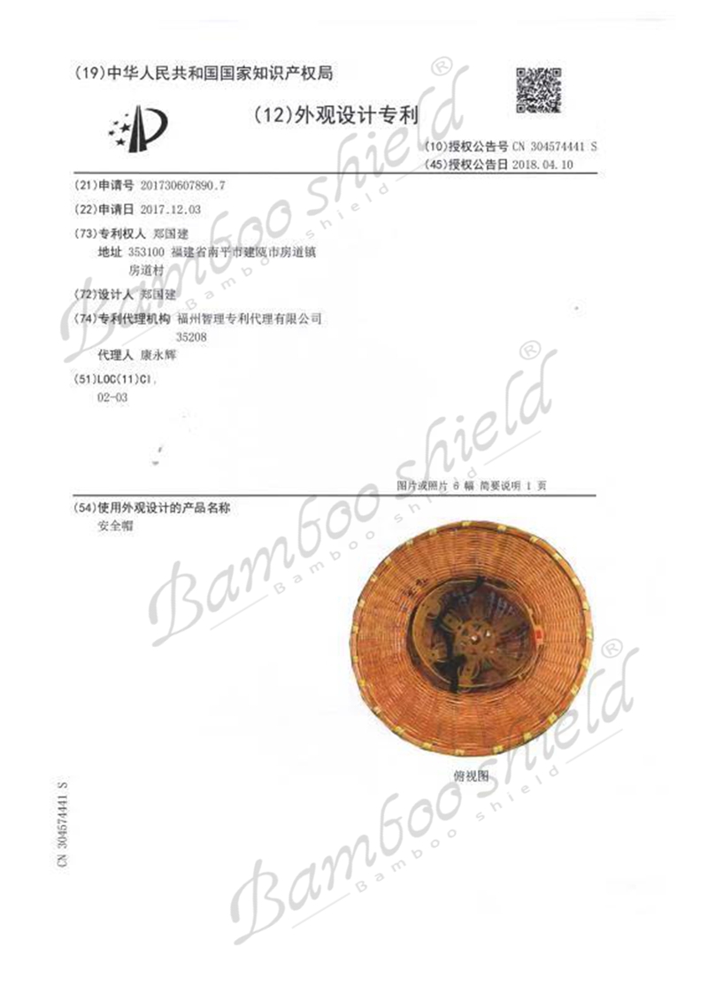 大沿帽专利